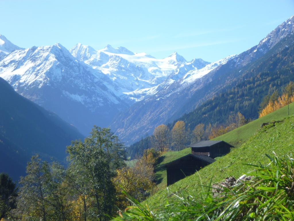 Apartment Martin Neustift im Stubaital Exterior photo